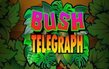 Bush Telegraph